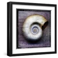 Moon Snail-John Golden-Framed Giclee Print