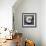 Moon Snail-John Golden-Framed Giclee Print displayed on a wall