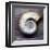 Moon Snail-John Golden-Framed Giclee Print