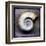 Moon Snail-John Golden-Framed Art Print