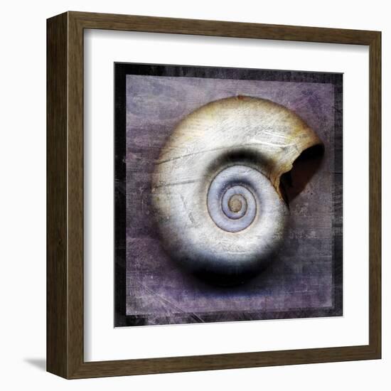 Moon Snail-John Golden-Framed Art Print