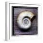 Moon Snail-John Golden-Framed Art Print