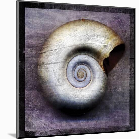 Moon Snail-John Golden-Mounted Art Print