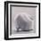 Moon Snail-Chris Witkowski-Framed Art Print