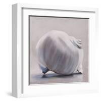 Moon Snail-Chris Witkowski-Framed Art Print