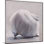 Moon Snail-Chris Witkowski-Mounted Art Print