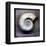 Moon Snail-John W^ Golden-Framed Art Print