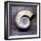 Moon Snail-John W Golden-Framed Giclee Print