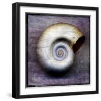 Moon Snail-John W Golden-Framed Giclee Print