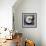 Moon Snail-John W Golden-Framed Giclee Print displayed on a wall