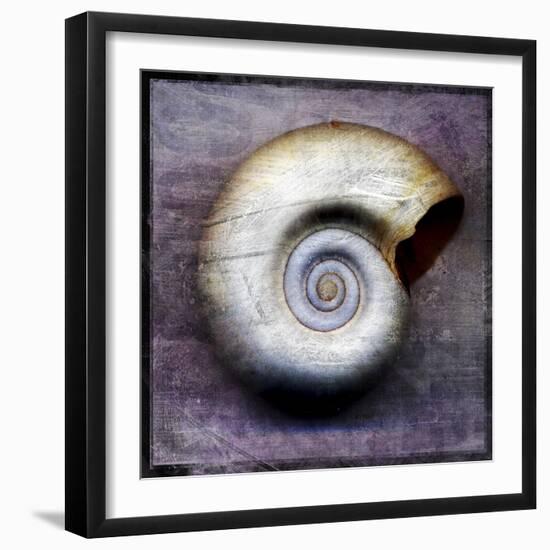 Moon Snail-John W Golden-Framed Giclee Print