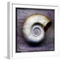 Moon Snail-John W Golden-Framed Giclee Print