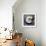 Moon Snail-John W Golden-Framed Giclee Print displayed on a wall