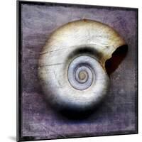 Moon Snail-John W Golden-Mounted Giclee Print