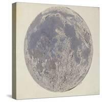 Moon surface with Craters-null-Stretched Canvas