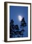 Moon, Trees, Jaws, Silhouette, at Night-Herbert Kehrer-Framed Photographic Print