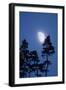 Moon, Trees, Jaws, Silhouette, at Night-Herbert Kehrer-Framed Photographic Print