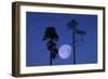 Moon, Trees, Jaws, Silhouette, at Night-Herbert Kehrer-Framed Photographic Print