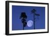 Moon, Trees, Jaws, Silhouette, at Night-Herbert Kehrer-Framed Photographic Print