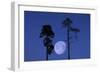 Moon, Trees, Jaws, Silhouette, at Night-Herbert Kehrer-Framed Photographic Print