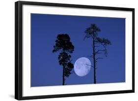 Moon, Trees, Jaws, Silhouette, at Night-Herbert Kehrer-Framed Photographic Print