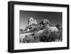 Moon Valley-Fyletto-Framed Photographic Print