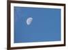 Moon with clouds and blue sky.-Cindy Miller Hopkins-Framed Photographic Print