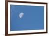 Moon with clouds and blue sky.-Cindy Miller Hopkins-Framed Photographic Print