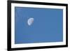 Moon with clouds and blue sky.-Cindy Miller Hopkins-Framed Photographic Print