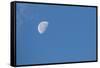 Moon with clouds and blue sky.-Cindy Miller Hopkins-Framed Stretched Canvas