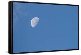 Moon with clouds and blue sky.-Cindy Miller Hopkins-Framed Stretched Canvas