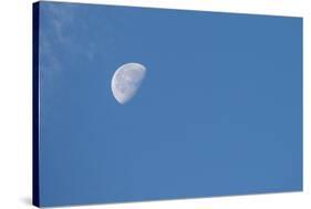 Moon with clouds and blue sky.-Cindy Miller Hopkins-Stretched Canvas