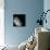 Moon-Stocktrek Images-Framed Photographic Print displayed on a wall