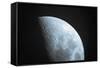Moon-null-Framed Stretched Canvas