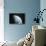 Moon-null-Stretched Canvas displayed on a wall