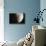 Moon-null-Stretched Canvas displayed on a wall