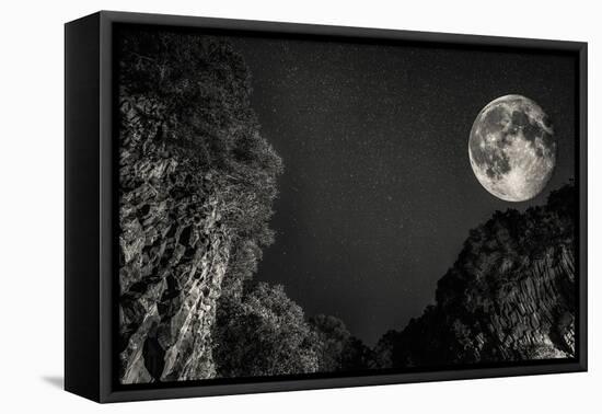 Moon-Giuseppe Torre-Framed Stretched Canvas