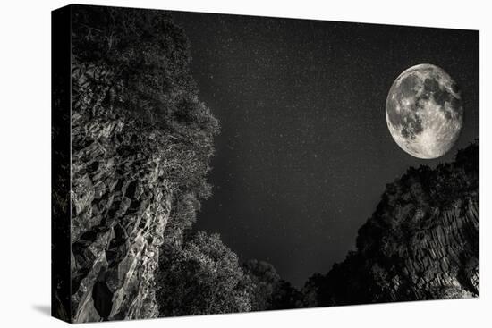 Moon-Giuseppe Torre-Stretched Canvas