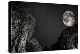 Moon-Giuseppe Torre-Stretched Canvas