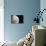Moon-null-Photographic Print displayed on a wall