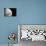 Moon-null-Photographic Print displayed on a wall