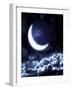 Moon-frenta-Framed Art Print