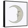 Moon-James Wiens-Framed Stretched Canvas