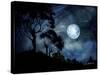 Moonage Daydream-Cherie Roe Dirksen-Stretched Canvas