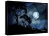 Moonage Daydream-Cherie Roe Dirksen-Stretched Canvas