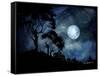 Moonage Daydream-Cherie Roe Dirksen-Framed Stretched Canvas