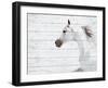 Moonbay-Kari Brooks-Framed Art Print