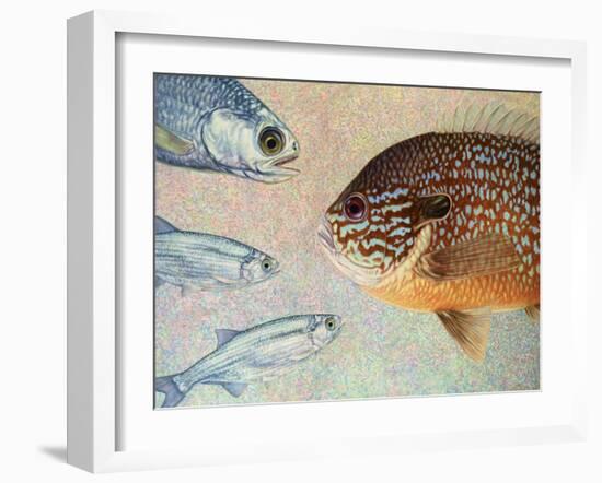 Mooneyes - Sunfish-James W Johnson-Framed Giclee Print