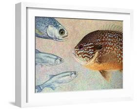 Mooneyes - Sunfish-James W Johnson-Framed Giclee Print