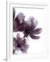 Moonflower I-Ken Hurd-Framed Giclee Print